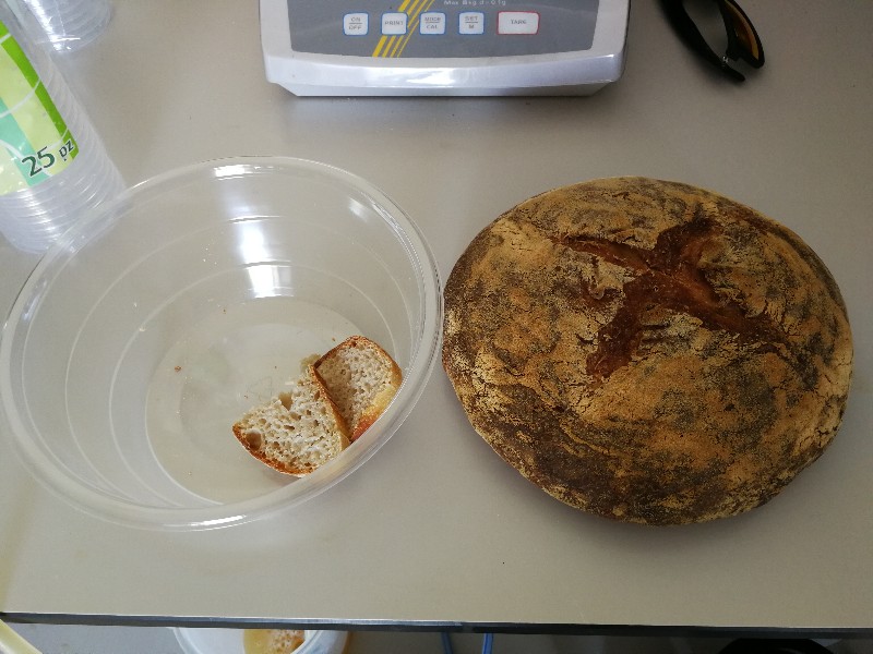 Pane contro il colesterolo e Birra della Tuscia, ultimi risultati all'Unitus 17