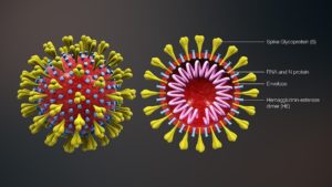 Coronavirus 