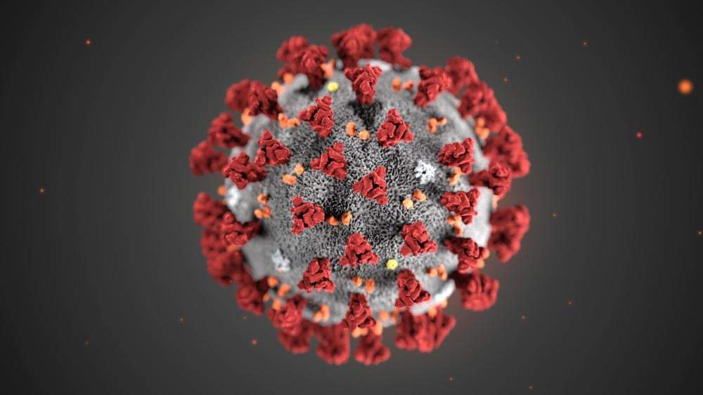 Coronavirus, due morti in Italia. Pronti a misure straordinarie 25