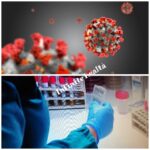 Coronavirus, pandemia, Covid-19, vaccino