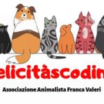 Associazione Franca Valeri 