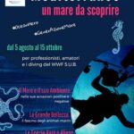 Mediterraneo un mare da scoprire