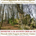 Passeggiata archeologica Faggeta di Soriano