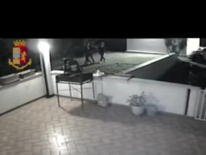 Matera violenza di gruppo 11 settembre
