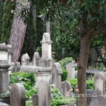 2 novembre 2020, al tempo del Covid-19 2 2 novembre 2020, al tempo del Covid-19 1