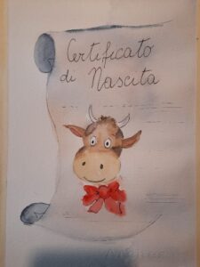 "Bebè nel mondo che vorrei"