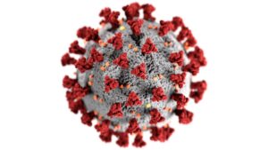 Coronavirus