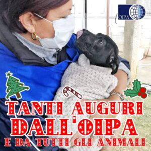 Oipa Organizzazione internazionale protezione animali