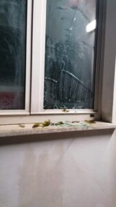 Comitato Locale Croce Rossa Orte