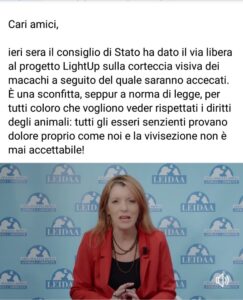 Onorevole Michela Vittoria Brambilla