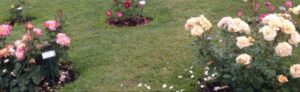 Roseto comunale Roma 