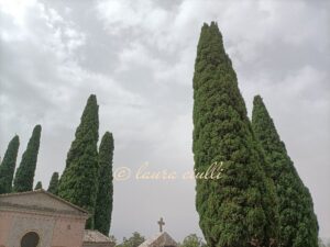 Cimitero, indulgenze Covid-19 laura Ciulli infinite realtà.it