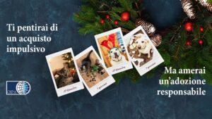 Oipa Organizzazione internazionale protezione animali