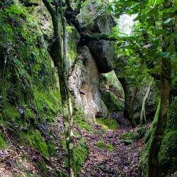 Oasi piana Sant'Angelo gallese