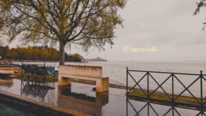 Natura, paesaggio Laura Ciulli 
