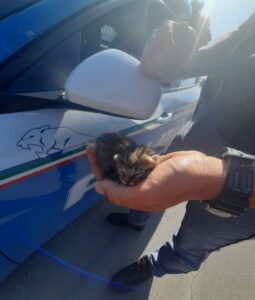 #senontiportononparto
Polizia di Stato 
Infinite realtà.it