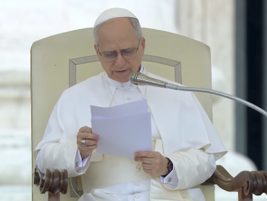Papa Leone XIV, Regina Caeli di domenica 1° giugno 2025 5