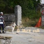 "Fidelis Amatrix 2021. La rinascita": quando imparammo per meglio servire 7 cinofili Fidelis Amatrix 2021. La rinascita". Laura Ciulli capricchia Amatrice infinite realtà. It. Polizia di Stato anps associazione nazionale Polizia di Stato